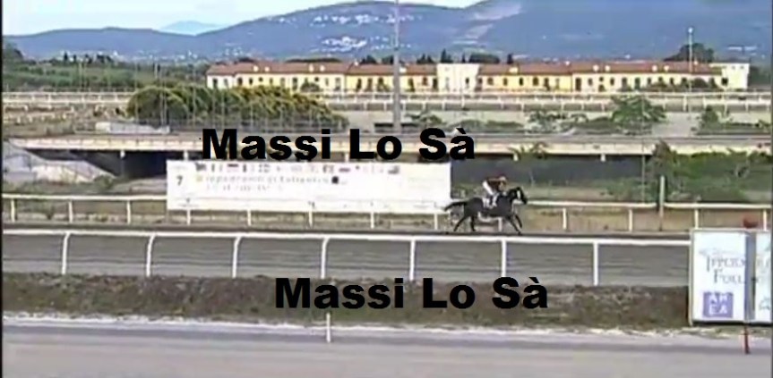 Ippica, Follonica: Oggi 03/06 Risultati 7^ Corsa Vince&nbsp;Bosea