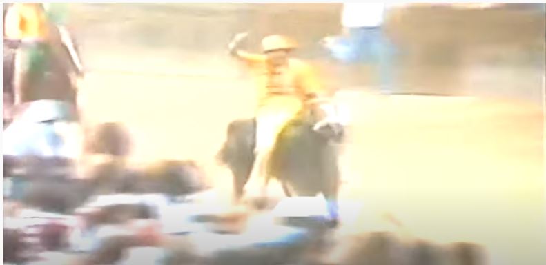 Paluio di Siena: Palio 2 luglio&nbsp;1981