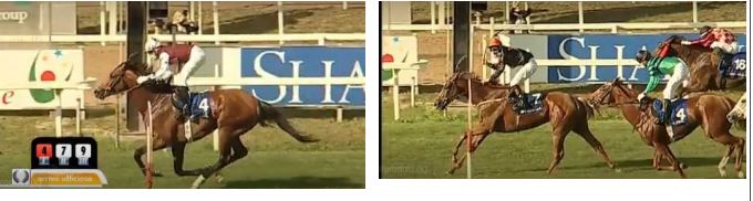 Ippica, Capannelle: Cima Emergency largheggia nel Parioli, Granatina sorprende nel Regina&nbsp;Elena!