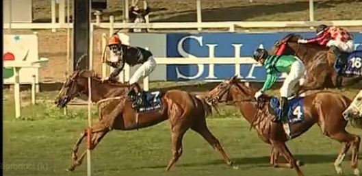 Ippica, Ratings: I valori del Parioli e Regina Elena, come sono stati valutati Granatina e Cima Emergency sulla scacchiera europea ed i prossimi&nbsp;obiettivi