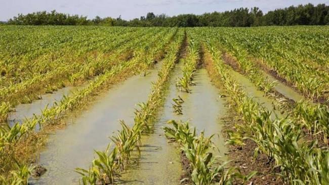 Toscana: Il Covid non bastava, a giugno flagello&nbsp;tempeste
