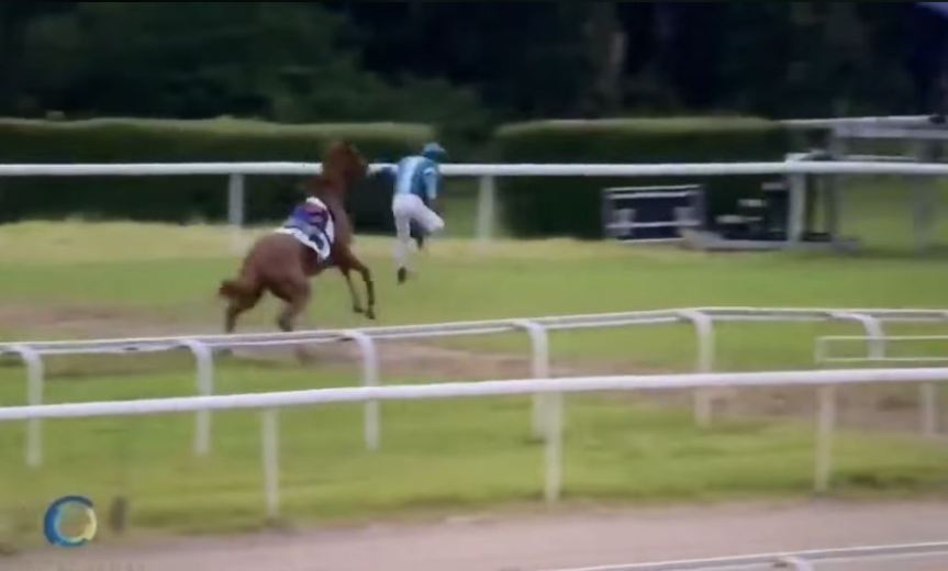 Ippica: Fantino disarcionato dal cavallo che stava&nbsp;montando