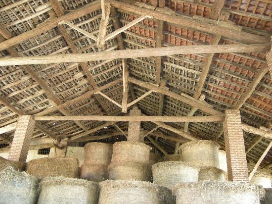 Provincia di Siena: Incendio in un fienile, vigili del fuoco in azione tutta la notte per spegnere le&nbsp;fiamme