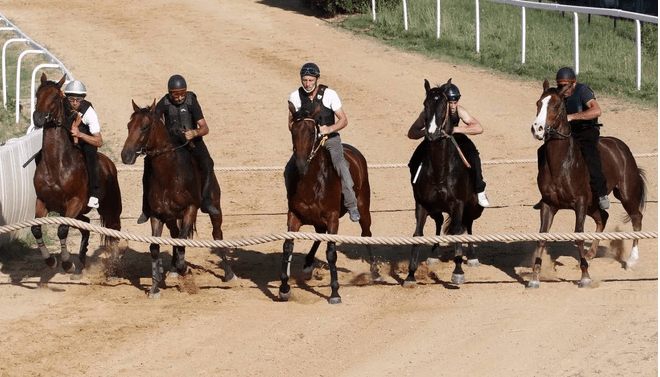 Palio di Siena: I Lavori di Addestramento sulla Pista di Mociano Mercoledì 01/07 inizieranno alle ore&nbsp;10.00