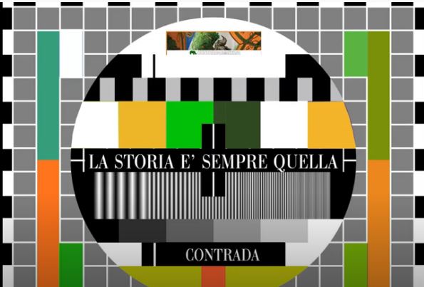 Siena, Contrada della Selva:  Episodio 39, Contrada, Vicario all’Organizzazione