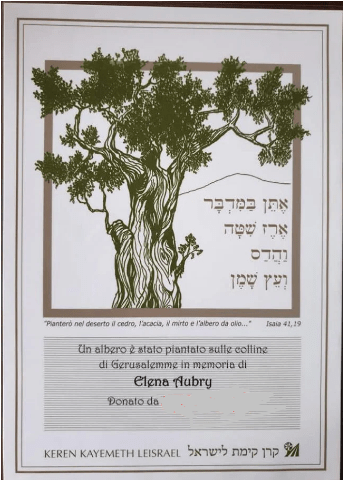 Siena: Ragazza morta in un incidente stradale, senese anonima dona albero a Gerusalemme per&nbsp;ricordarla