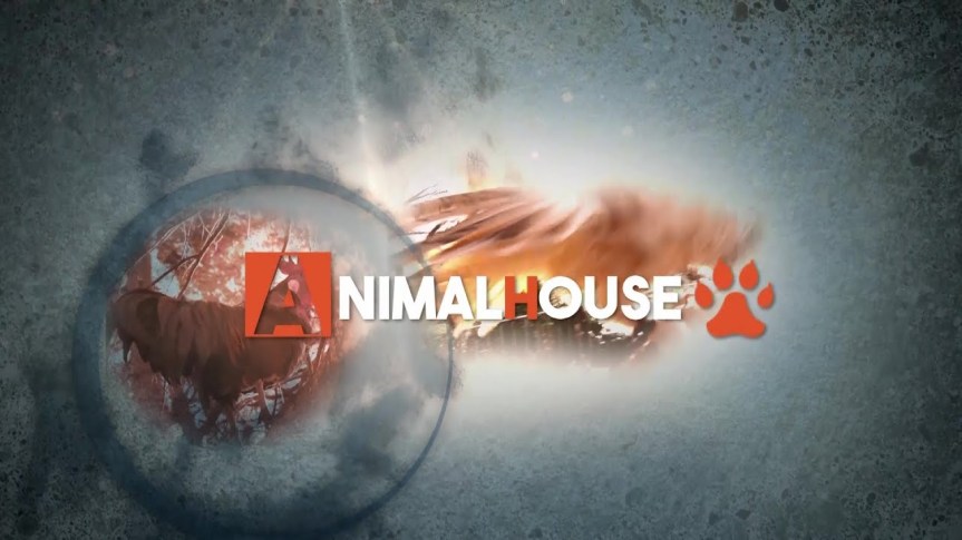 Siena, Animal House: Medicina riabilitativa e gestione del pelo del cane in&nbsp;estate