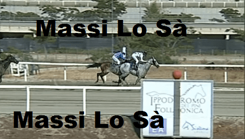 Ippica, Follonica: Oggi 24/07 Risultati Corse Anglo-Arabi, Vincono Vallerozzi e Anda e&nbsp;Bola