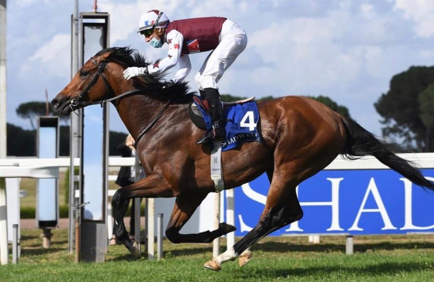 Ippica, Verso il Derby Italiano: Cima Emergency rifinisce sulla sabbia di Trenno. Ecco il video&nbsp;esclusivo!