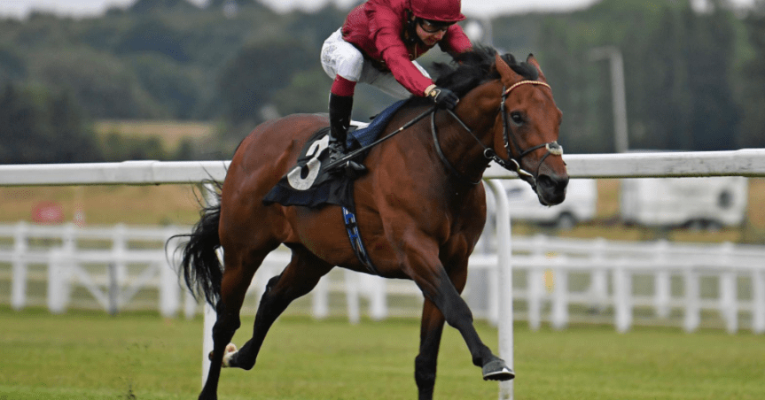 Ippica, Inghilterra: Debutto con vittoria per Darain, il puledro più costoso delle aste&nbsp;2018