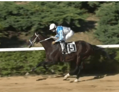 Ippica, Storie: Mujahidofcaffeina, 11 anni e ancora la voglia di stupire. Il popolare eroe delle piste italiane vince a&nbsp;Tagliacozzo