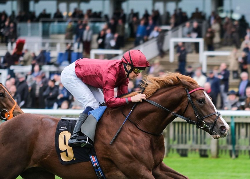 Ippica, Verso il Derby Italiano: Tuscan Gaze rifinisce a Maisons-Laffitte ecco il video. Avrà in sella Carlo&nbsp;Fiocchi