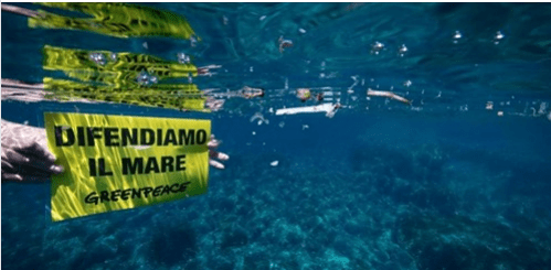 Toscana: Al Santuario dei Cetacei i pesci mangiano&nbsp;plastica