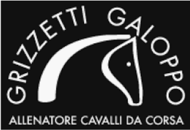 Ippica, Aste: Mercoledì 15 il dispersal della Grizzetti Galoppo organizzata dalla SGA. Ecco come si può&nbsp;acquistare