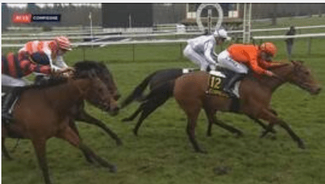 Ippica: Mondo del Turf, bollettino e notiziario del 27 Luglio. Clicca e&nbsp;leggi..