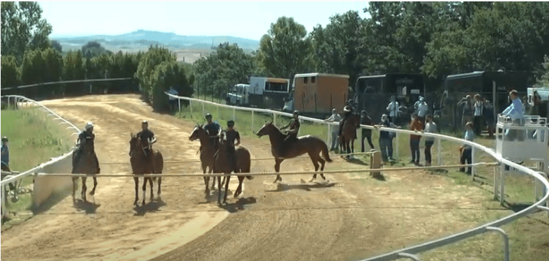 Palio di Siena: Oggi 24/03 uscito il calendario dei Lavori e delle Corse di Addestramento Protocollo Equino&nbsp;2021