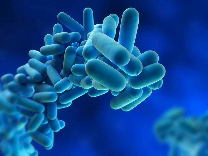 Siena: Legionella, 6 casi a Siena nei primi sei mesi del&nbsp;2020