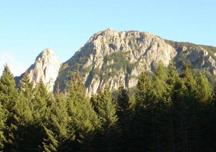 Toscana: Escursionista muore alla Verna davanti alla&nbsp;moglie