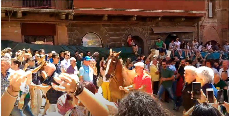 Palio di Siena: Tratta giugno 2018 – Porto Alabe&nbsp;all’oca