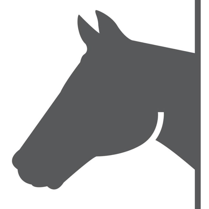 Ippica, Tragedia in mare: Quattro cavalli morti nel viaggio verso&nbsp;Chilivani!