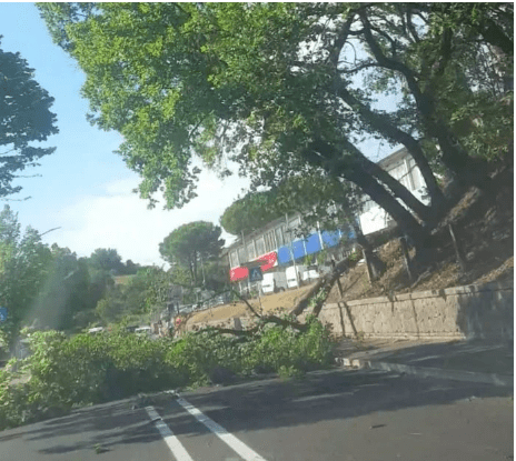 Siena e Provincia: Nubifragio, Siena e Valdelsa spazzate dal&nbsp;maltempo