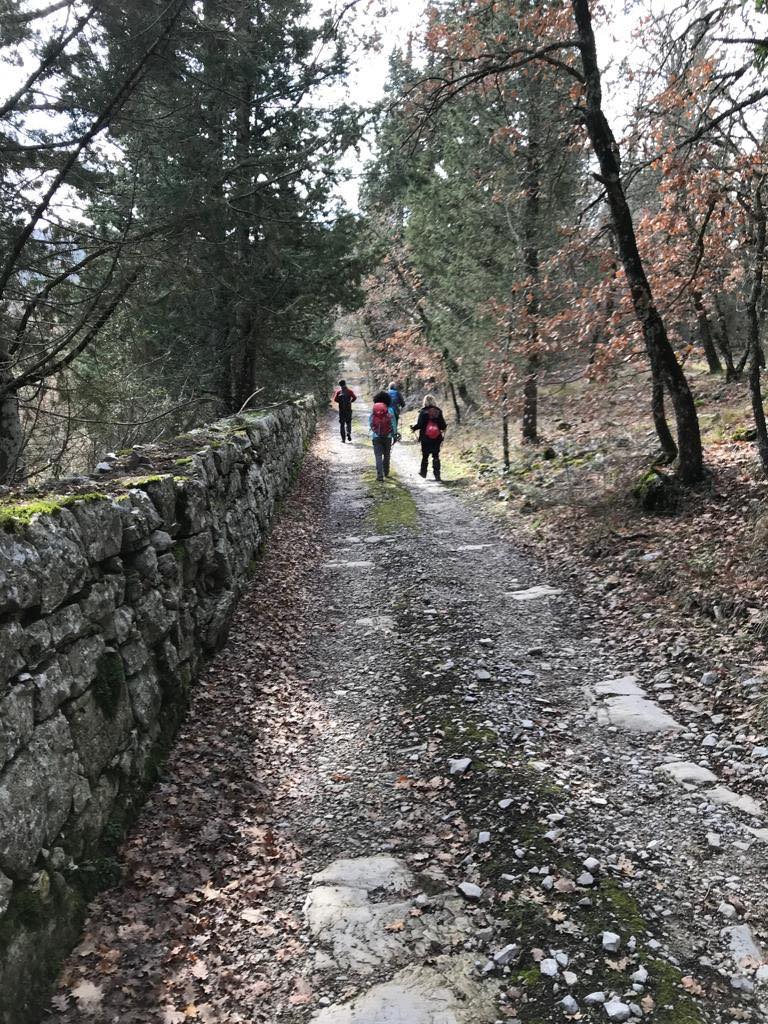 Provincia di Siena: La Via Romea raccontata attraverso storia e prodotti&nbsp;tipici