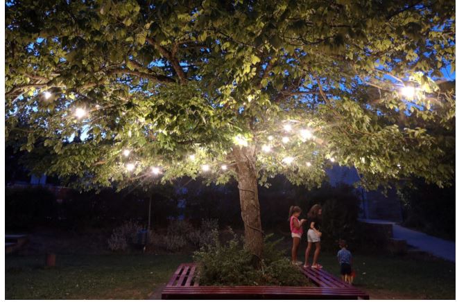 Provincia di Siena: ”L’albero della vita” di Gaiole in&nbsp;Chianti