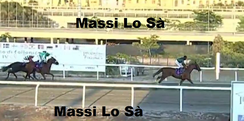 Ippica, Follonica: Oggi 07/08 Risultati Odierno Convegno di&nbsp;Corse