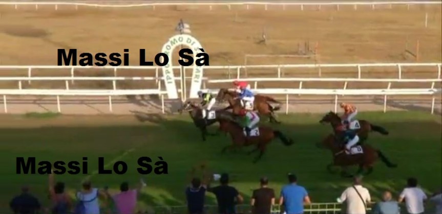 Ippica, Sassari: Oggi 13/08 Risultati Corse per Anglo-Arabi, Vincono Baylah Bonita, Venere e&nbsp;Batman