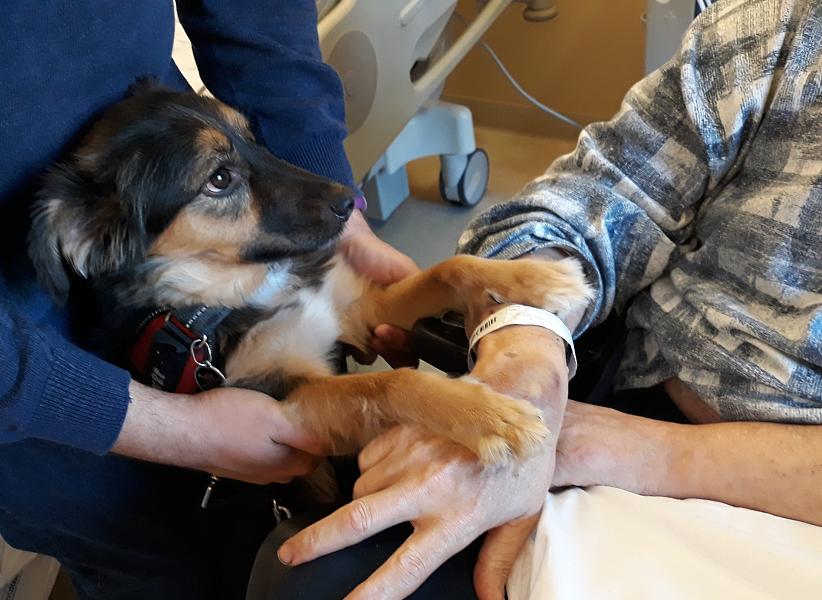 Toscana: Premio internazionale Fedeltà al piccolo&nbsp;Phoebe