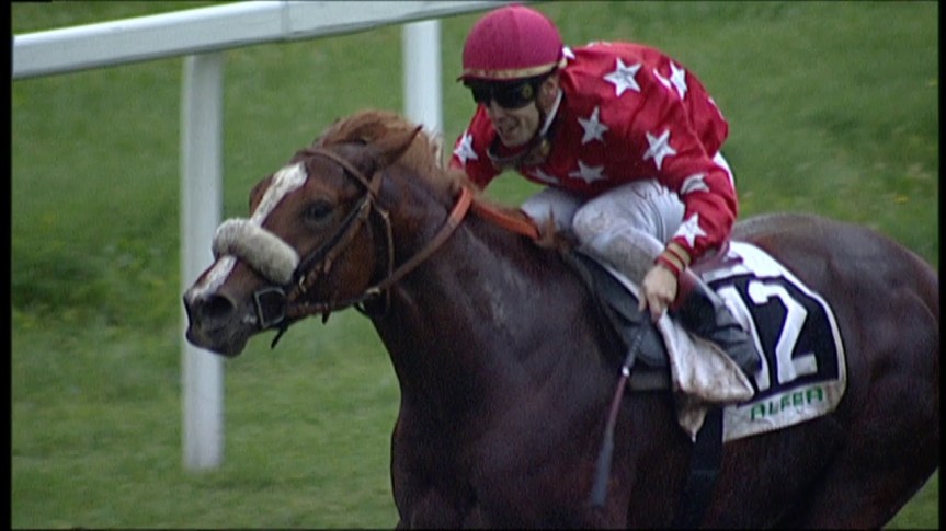 Ippica, Mercato: Venduto Sicomoro! Il 3 anni italiano andrà ad Hong&nbsp;Kong