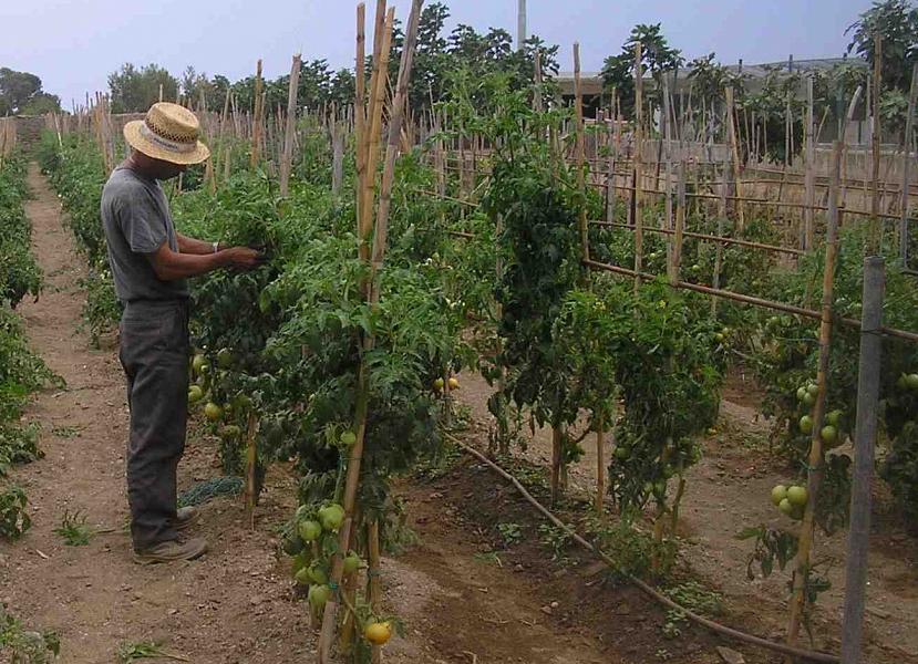 Toscana: Indennità, Cig, bonus, Cgil all’attacco dell’Inps