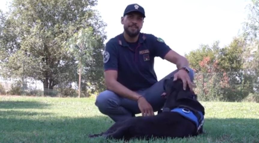 Italia, Se non ti porto non parto: Al via la campagna per la tutela degli&nbsp;animali