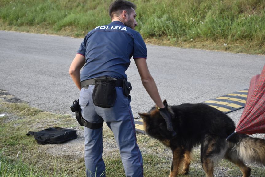 Siena: Poliziotti intervengono e salvano un cane in&nbsp;difficoltà