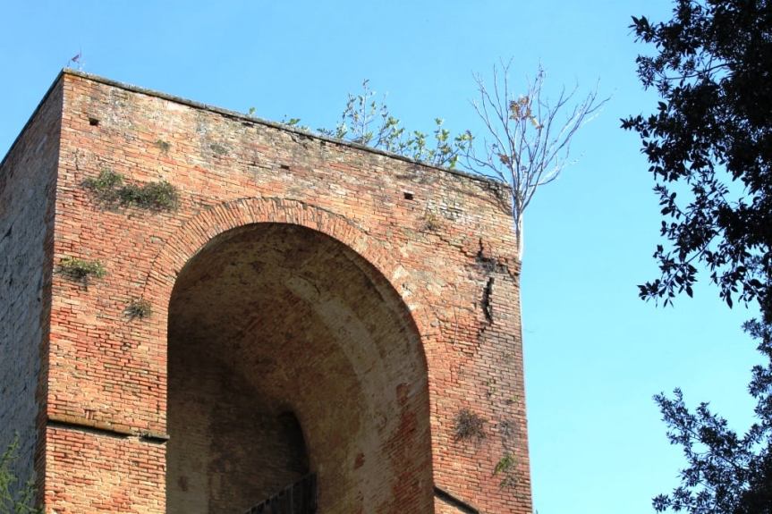 Siena: Iniziati i lavori di restauro della torre&nbsp;Campansi
