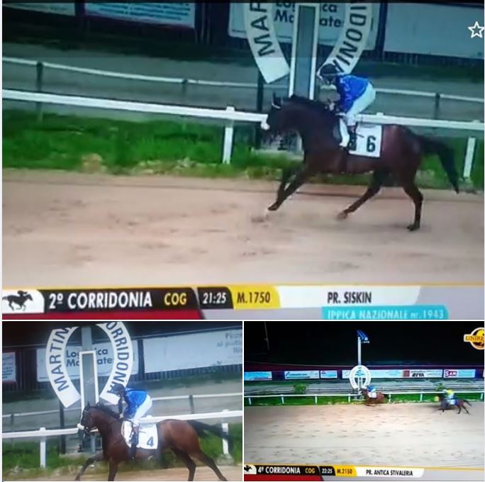 Ippica, Corridonia: Ieri 20/08 un bel 3 su 3 per la Scuderia di Antonio Siri con Unselfish, Inventi e Burmese&nbsp;Whisper