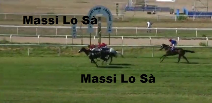 Ippica, Chilivani: Oggi 05/09 Risultati Corse Anglo-Arabi, Vincono Verbena Rosa, Ballatisola e&nbsp;Batman