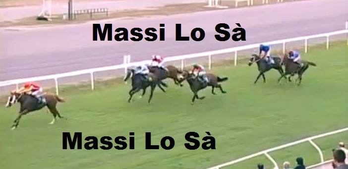 Ippica, Firenze: Oggi 10/09 Risultati Corse Anglo-Arabi, Vincono Zodiaco de Aighenta e Farfadet du&nbsp;Pecos