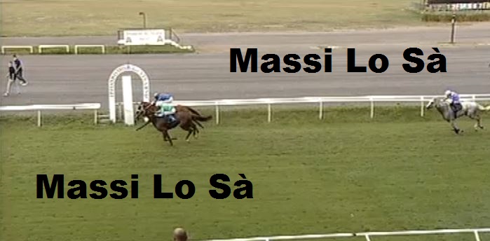 Ippica, Firenze: Oggi 24/09 Risultati Corse Anglo-Arabi,  Vincono Angelo Rosso E Coffeetime&nbsp;Pontadour