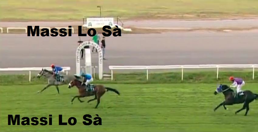 Ippica, Finrenze e Corridonia: Oggi 10/09 Risultati Odierni Convegni di&nbsp;Corse