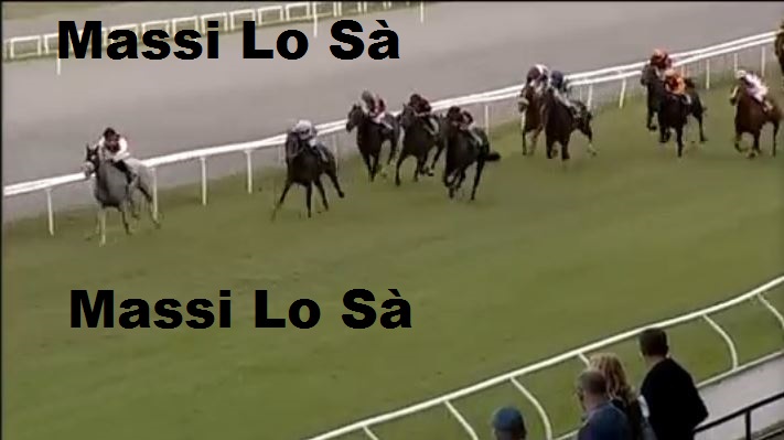 Ippica, Firenze: Oggi 01/10 Risultati Corsa Anglo-Arabi, Vince Ubert&nbsp;Spy