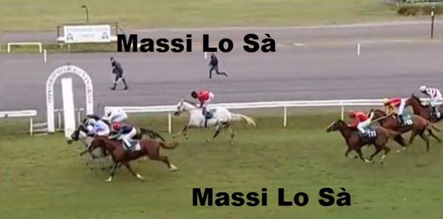 Ippica, Firenze: Oggi 03/10 Risultati 5^ Corsa, Vince Zeta&nbsp;Penny