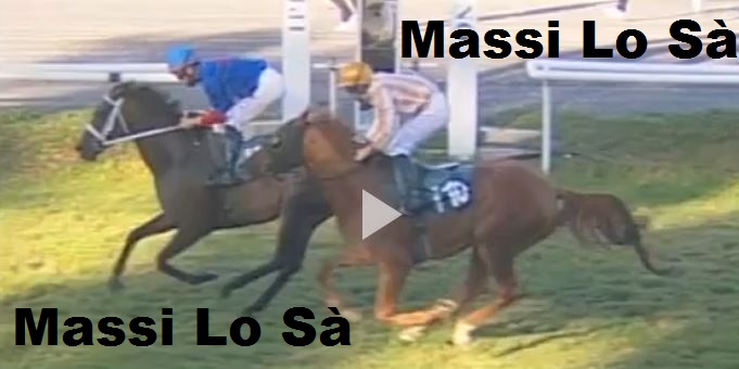 Ippica, Firenze: Oggi 08/10 Risultati Corse ASnglo-Arabi, Vincono Borreale e Calliope da&nbsp;Clodia