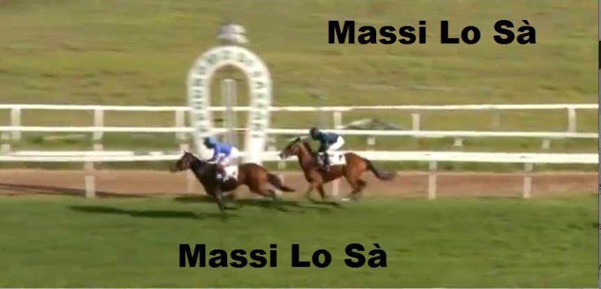 Ippica, Sassari: Oggi 12/10 Risultati Odierno Convegno di&nbsp;Corse