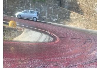 Provincia di Siena: Montalcino, la strada diventa&nbsp;rossa