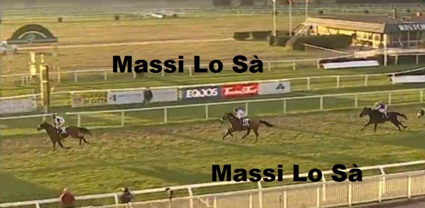 Ippica, Pisa: Oggi 26/11 Corse Anglo-Arabi, Vincono Ribelle da Clodia e Violenta da&nbsp;Clodia