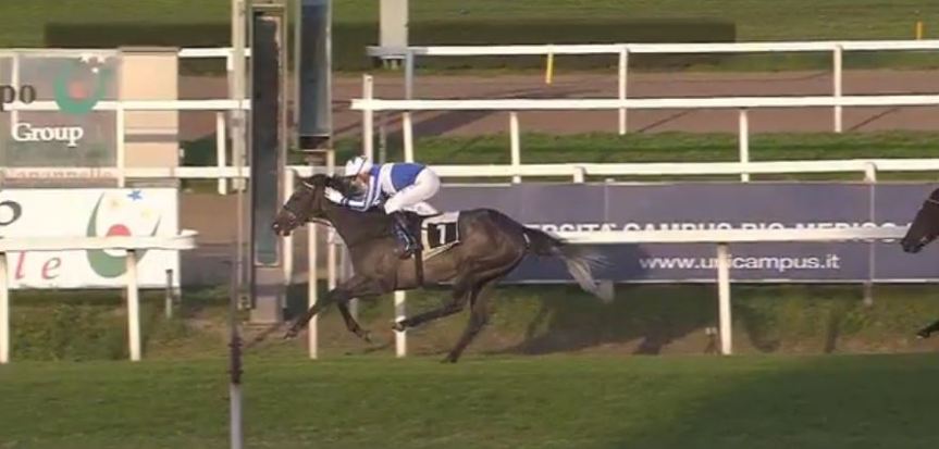 Ippica, Roma: Oggi 31/12 Risultati Odierno COnvegno di&nbsp;Corse