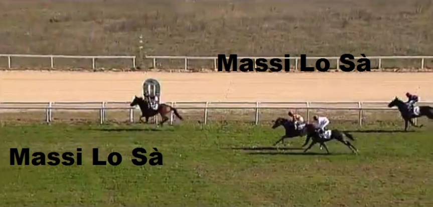 Ippica, Varese e Villacidro: Oggi 25/11 Risultati Odierni Convegni di&nbsp;Corse