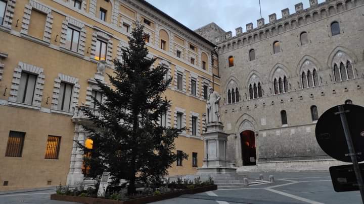 Siena: Oggi 28/11 l’albero di Natale di Piazza Salimbeni prende&nbsp;vita