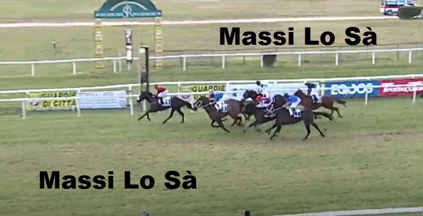 Ippica, Pisa: Oggi 10/12 Corse Anglo-Arabi, Vince Vipera&nbsp;Bionda